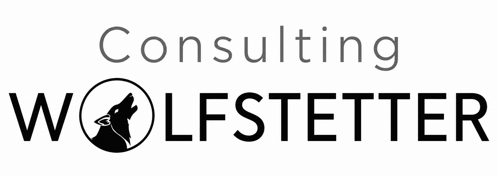CONSULTING Hagen Wolfstetter