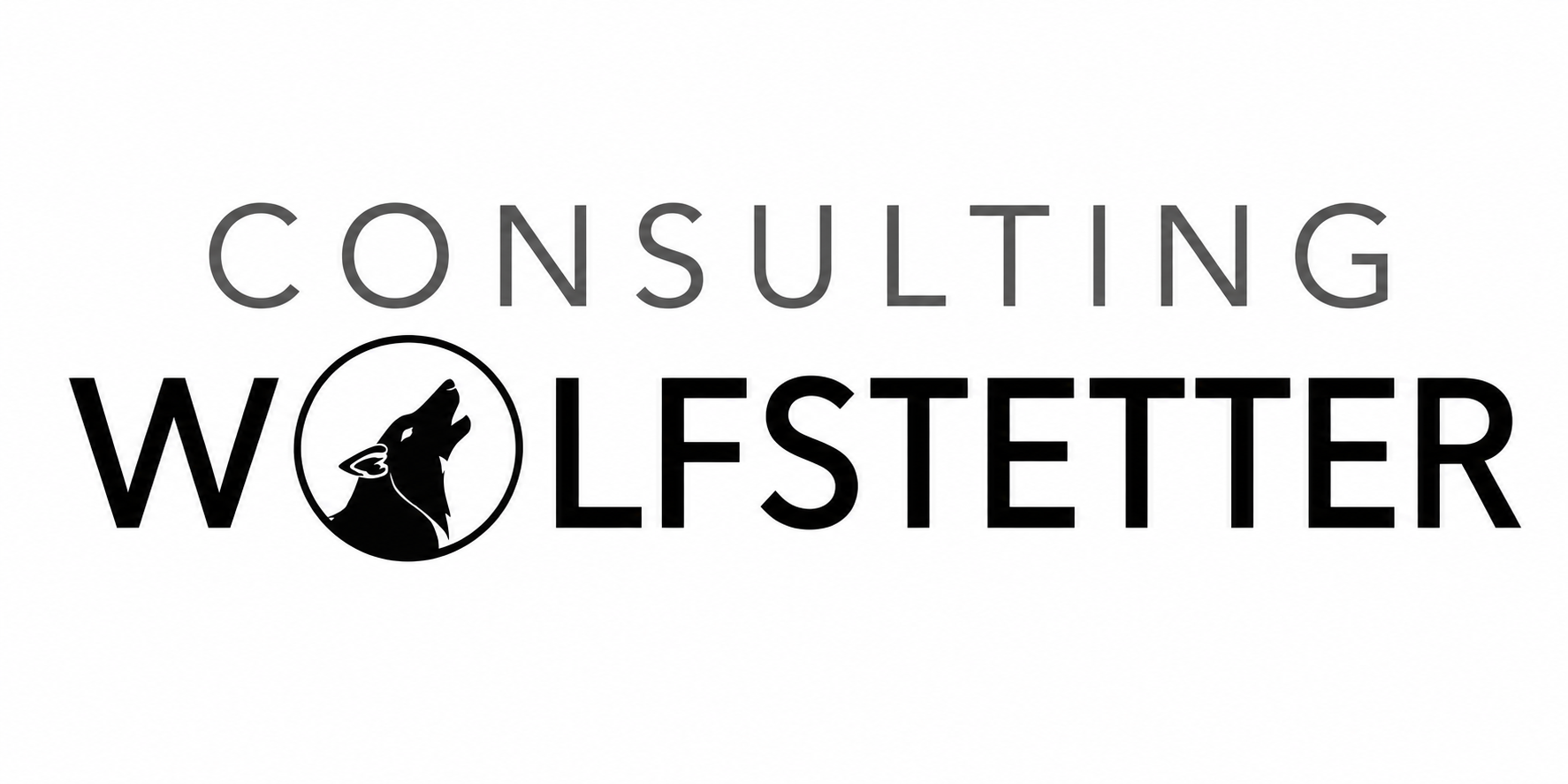 CONSULTING Hagen Wolfstetter